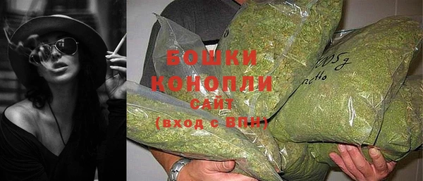 ECSTASY Осинники