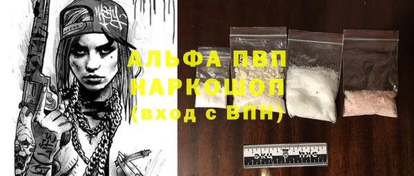 хмурый Няндома