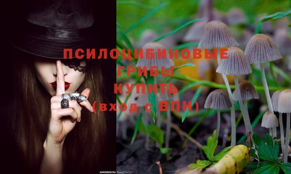 прущие крисы Бугульма