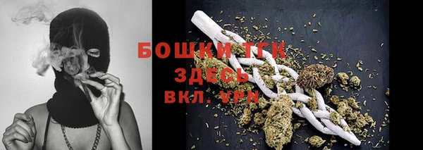ECSTASY Осинники