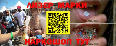дмт Гатчина