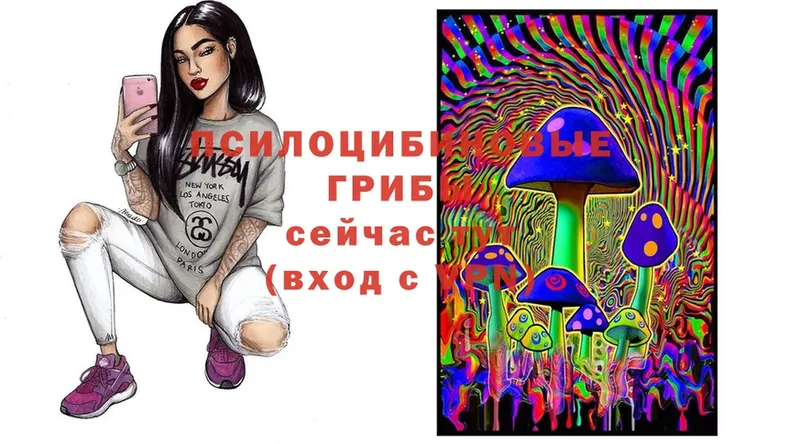 Псилоцибиновые грибы Cubensis  как найти   Ивантеевка 