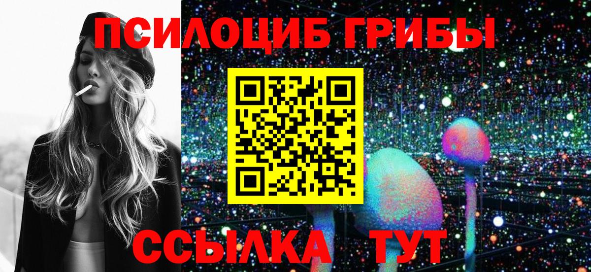 Псилоцибиновые грибы прущие грибы  Ивантеевка 