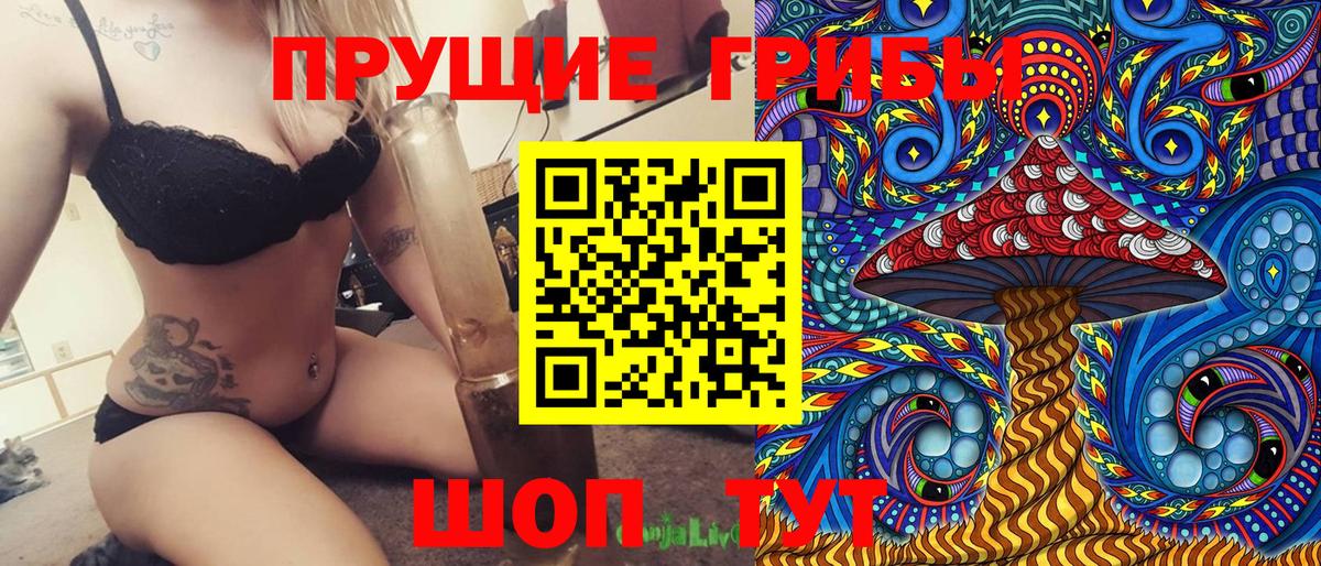 Галлюциногенные грибы Psilocybine cubensis  Вход с VPN  Ивантеевка 